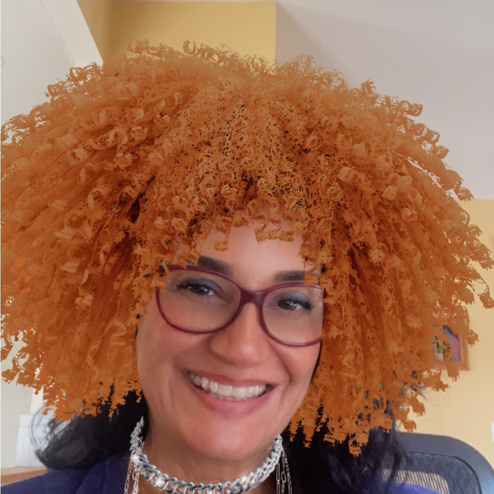 Meet your Posher, Ladan